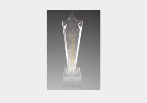 2017年度創(chuàng  )業(yè)新銳