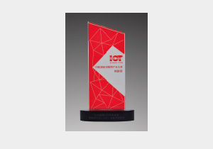 2017國際物聯(lián)網(wǎng)產(chǎn)業(yè)創(chuàng  )新獎