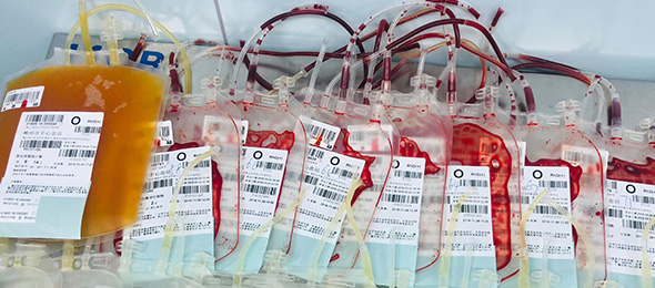 【某某市中心血站智慧管理平臺系統項目】